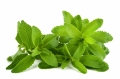 STEVIA, PLANTA CARE TE SCAPA DE VICIILE NESANATOASE PRECUM FUMATUL SI ALCOOLUL