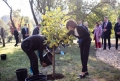 PRESEDINTII MAIA SANDU SI FRANK-WALTER STEINMEIER AU PLANTAT ARBORI LA GRADINA BOTANICA