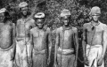 Scurt istoric al sclaviei africanilor in SUA