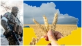 CRIZA CEREALELOR BLOCATE IN UCRAINA CRIZA CEREALELOR BLOCATE IN UCRAINA