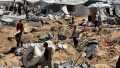 Asociația Internațională a Specialiștilor în Genocid a adoptat o rezoluție care afirmă că Israelul comite un genocid în Gaza Asociația Internațională a Specialiștilor în Genocid a adoptat o rezoluție care afirmă că Israelul comite un genocid în Gaza