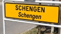 article logo