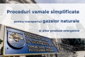 PROCEDURI VAMALE SIMPLIFICATE PENTRU TRANSPORTUL GAZELOR NATURALE ȘI ALTOR PRODUSE ENERGETICE