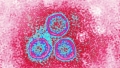 Virusul HPV face ravagii printre bărbații din întreaga lume
