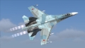 UN AVION DE VINATOARE SU-27 S-A PRABUSIT IN REGIUNEA MOSCOVEI